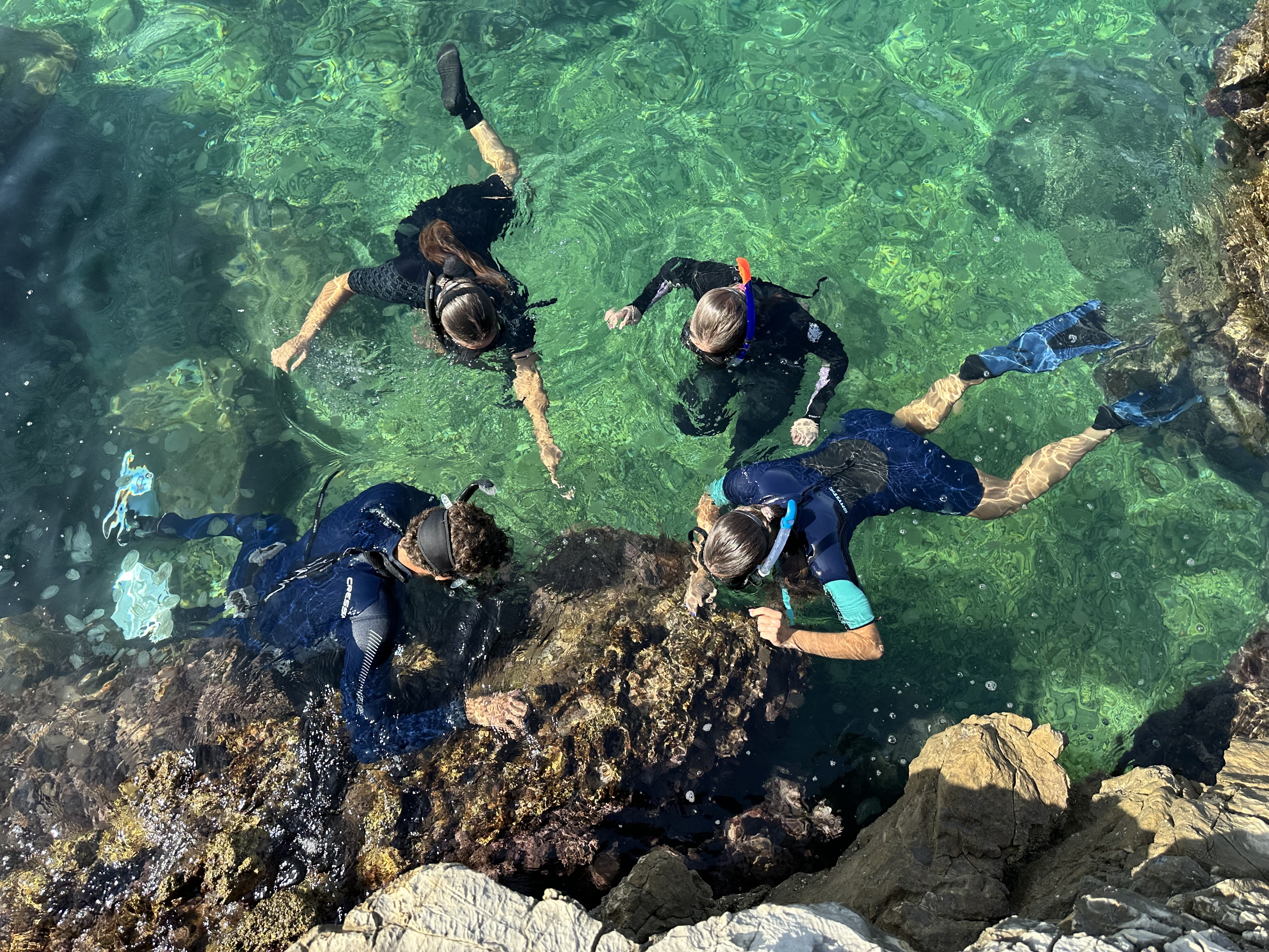 Nahaufnahme beim Schnorcheln unter Wasser